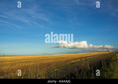 Campo in Alentejo, Portogallo Foto Stock