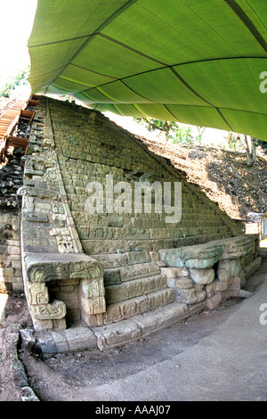 Honduras Copan Ruinas scala geroglifica tempio sotto la tettoia e il più lungo testo Maya nel mondo Foto Stock
