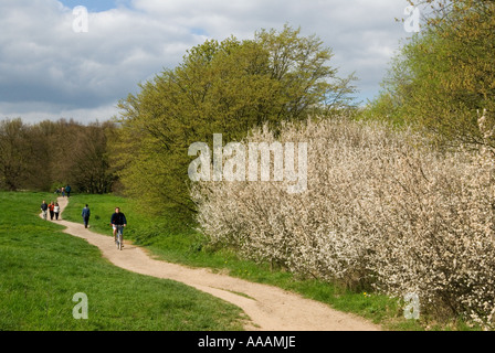 Hampstead Heath Hampstead London NW3 Inghilterra 2006 Foto Stock
