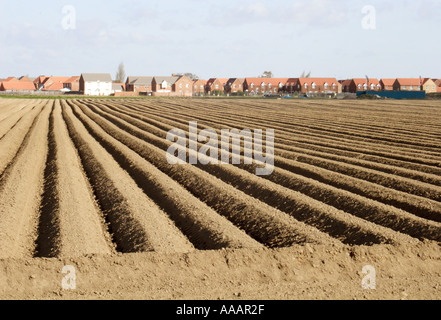 Campo Arato Spalding REGNO UNITO Foto Stock