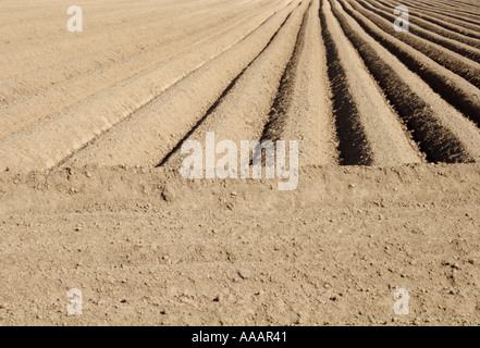 Campo Arato Spalding REGNO UNITO Foto Stock