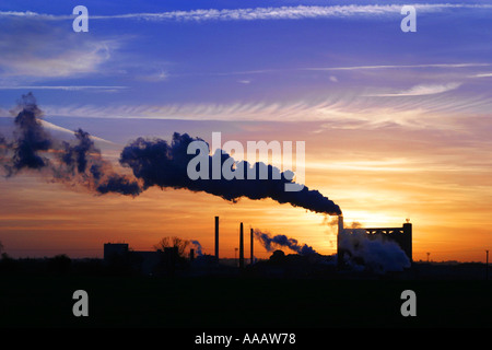 Una fabbrica in Bury St Edmunds Suffolk REGNO UNITO la trasformazione della barbabietola da zucchero al tramonto con il sentiero del vapore con fumo come aspetto Foto Stock