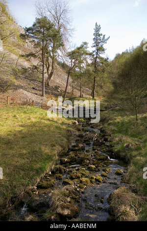 Regno Unito Galles Clwyd Eglwyseg flusso che scorre verso il basso dalla montagna Esclusham Foto Stock