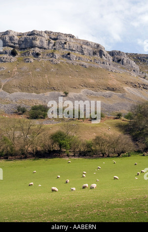 Regno Unito Galles Clwyd allevamento di pecore pascolano sui prati fertili al piede della montagna Eglwyseg Foto Stock