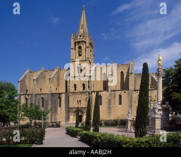 Collegiale de Saint Laurent al Salon de Provence Francia Foto Stock