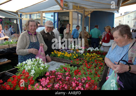 Donna acquistare fiori in Riga Mercato Centrale Foto Stock