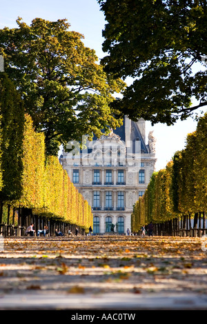 Un viale alberato nel giardino delle Tuileries davanti al Museo Louve Parigi Francia Foto Stock