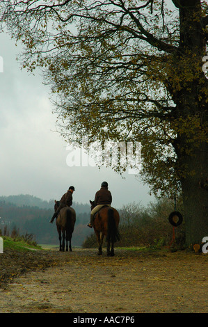 Equitazione passato un grande albero Foto Stock