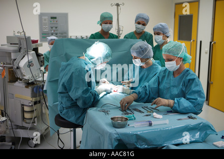 Altona bambini s team ospedaliero di interventi durante un intervento Foto Stock