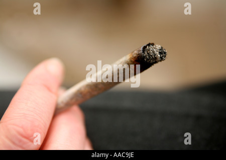 Giovane donna fumare marijuana in un coffee shop in Olanda, Paesi Bassi close up Foto Stock