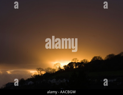 Tramonto con la centrale di bagliore luminoso & grigio scuro nuvole sopra inverno alberi stagliano sulla collina Beacon Braunton Devon England Foto Stock