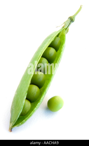 Pod verde di piselli di aprirsi per vedere i piselli interno con singolo pisello allentati sedeva accanto a pod Foto Stock