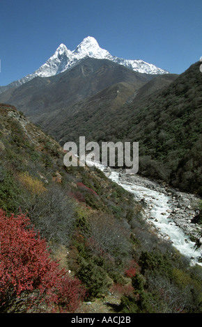 New Scenic 5 posti della valle di Everest e Amadablam montagna nel Parco Nazionale di Sagarmatha Il Nepal Foto Stock