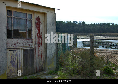 Shanty a installazioni per la cultura di ostriche nei pressi di Talmont Saint Hilaire Vandee Francia Foto Stock