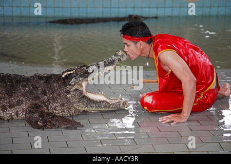 Fattoria di coccodrilli Pattaya Thailandia Foto Stock