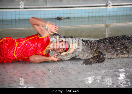 Fattoria di coccodrilli Pattaya Thailandia Foto Stock