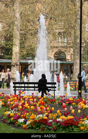 Fontana, tulipani e giovane donna sulla panchina di Russell Square. Bloomsbury, Londra, Inghilterra Foto Stock