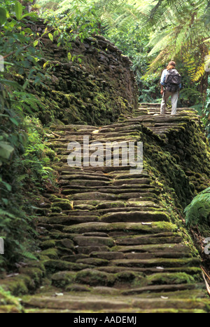 La Ciudad Perdida la città perduta nelle montagne della Sierra Nevada, nel nord della Colombia Foto Stock