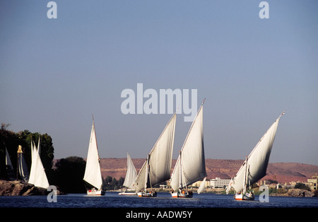 Feluche navigando sul fiume Nilo in Aswan Foto Stock