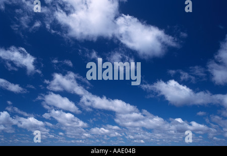 Puffy bianche nuvole contro un profondo cielo blu Foto Stock