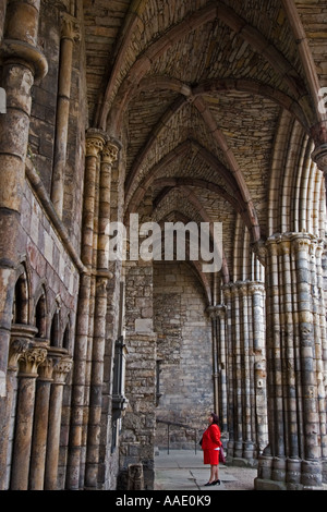 Una donna in rosso ammirando il vaulting nella navata in rovina tra il XII e il XIII secolo Holyrood Abbey, Edimburgo in Scozia Foto Stock