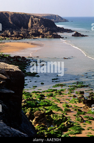 La Francia. Sud della Bretagna. Spiaggia sul lato atlantico di Presqu'ile d'Oberon. La bellezza naturale delle rocce le alghe di mare. Foto Stock