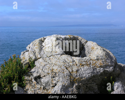 Foresta fossile nelle vicinanze Lulworth cove Jurassic Coast Inghilterra Dorset Regno unito Gb Foto Stock