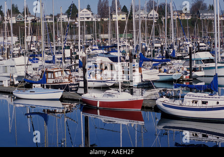 Barche nel porto di Squalicum Bellingham Washington Foto Stock