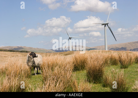 Elettricità da fonti rinnovabili; tre turbine eoliche energia eolica il convertitore in wind farm su Lambrigg cadde, Tebay, Cumbria, Regno Unito Foto Stock