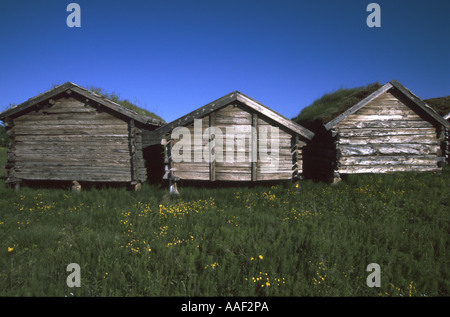 Turf di legno coperto edifici agricoli Kautokeino museo all'aperto Finnmark Norvegia Foto Stock