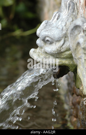 Acqua che scorre dal ponte di Hoveton Hall Gardens NORFOLK REGNO UNITO Foto Stock