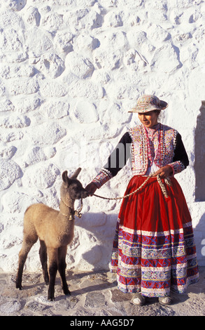 Il quechua donna con 12 giorni d'età llama in costume tribale a Maca villaggio nei pressi di Chivay Colca Canyon Perù Sud America Foto Stock