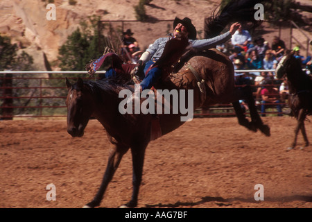 Bronco Buster Foto Stock