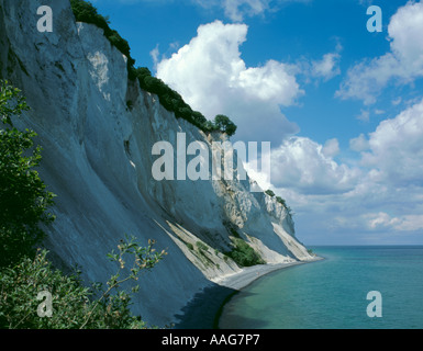 Scoscesi bianco gesso scogliere sul mare di Møns Klint, Møn, Danimarca Foto Stock