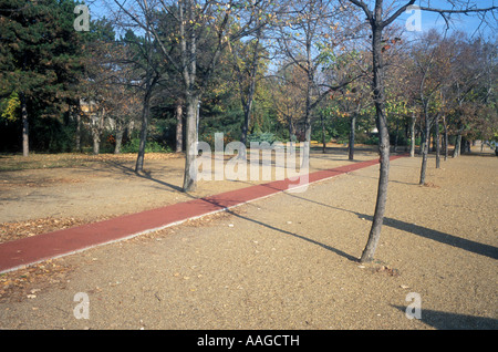 Per gli amanti del jogging' percorso sul isola di Margaret, Budapest, Ungheria Foto Stock