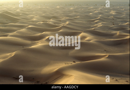 Dune del deserto - Erg Chebbi, Merzouga, Marocco Foto Stock