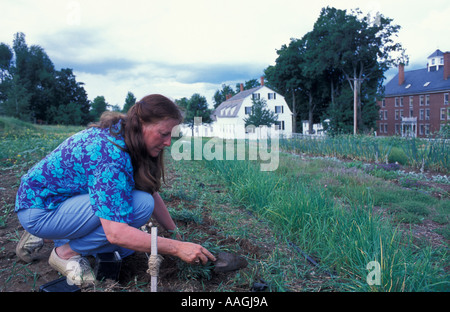 Gloucester me la lavorazione del terreno a Sabbathday Lake Shaker Village Foto Stock