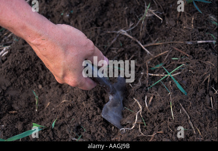 Gloucester me la lavorazione del terreno a Sabbathday Lake Shaker Village Foto Stock