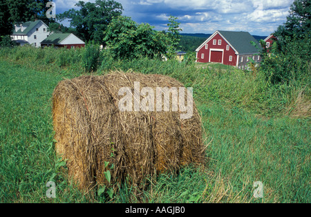 Nuovo Gloucester ME una balla di fieno in un campo nei pressi di un fienile a Sabbathday Lake Shaker Village Foto Stock