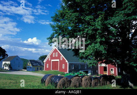 Nuovo Gloucester ME balle di fieno in un campo nei pressi di un fienile a Sabbathday Lake Shaker Village Foto Stock