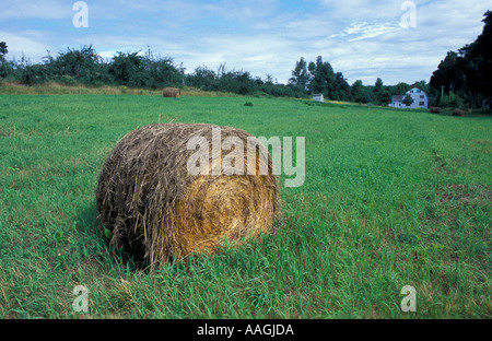 Nuovo Gloucester ME una balla di fieno in un campo a Sabbathday Lake Shaker Village Foto Stock