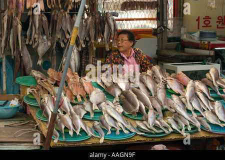 Pesce fresco in vendita presso Jagalshi mercato pesce Busan Corea del Sud Foto Stock