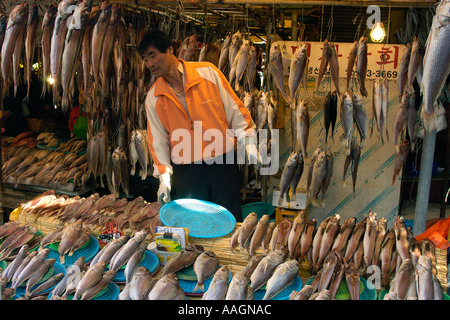 Pesce fresco in vendita presso Jagalshi mercato pesce Busan Corea del Sud Foto Stock