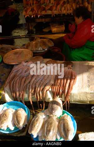 Fresche polpi e seppie in vendita presso Jagalshi mercato del pesce Busan Corea del Sud Foto Stock