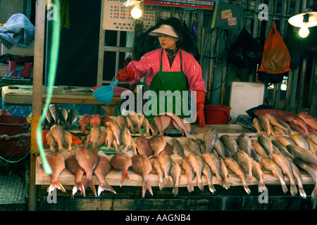 Pesce fresco in vendita presso Jagalshi mercato pesce Busan Corea del Sud Foto Stock