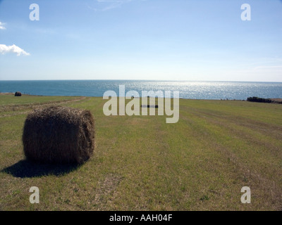 Le balle di paglia su terreni agricoli a Portland Bill, Dorset, England, Regno Unito Foto Stock