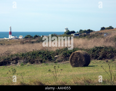 Le balle di paglia su terreno coltivato, Portland Bill, Dorset, Regno Unito, con entrambi i fari in background Foto Stock