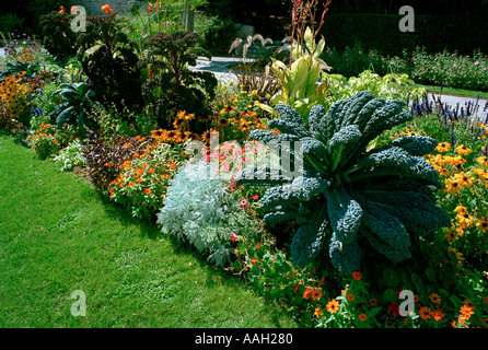 Un fiore bordo decorativo con piante di cavolo cappuccio nel giardino formale accanto al convento francescano a Cimiez Nizza Francia Foto Stock