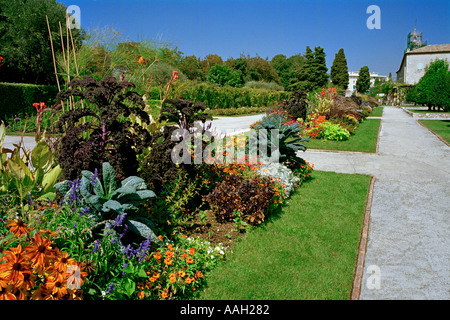 Un fiore bordo decorativo con piante di cavolo cappuccio nel giardino formale accanto al convento francescano a Cimiez Nizza Francia Foto Stock