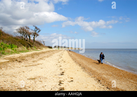 East Mersea spiaggia sabbiosa Essex Foto Stock